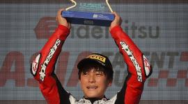 الدراج الياباني زن ميتاني