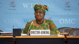 المدير العام لمنظمة التجارة العالمية