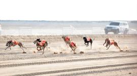 جانب من السباق - صورة أرشيفية