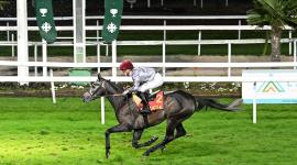 المهر لوسيل