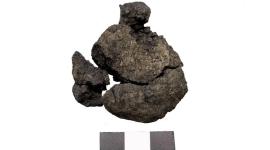 أقدم رغيف خبز في العالم