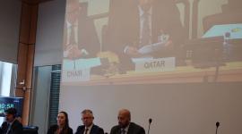 جانب من المشاركة القطرية