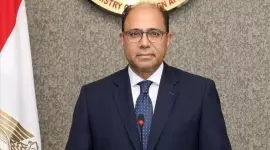 السفير أحمد أبو زيد متحدث الخارجية المصرية