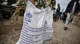 صورة أرشيفية