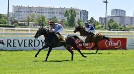 المهر "لوسيل" في المقدمة