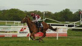 الجواد بيرل ففتين