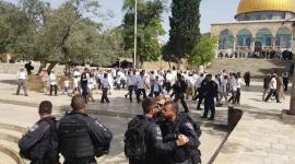 عشرات المستعمرين اقتحموا الأقصى