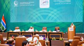 جانب من المؤتمر