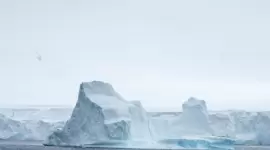 القطب الجنوبي