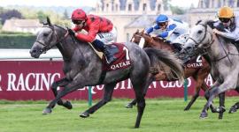 جانب من المنافسات