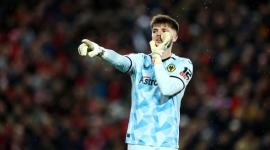 ماتيجا ساركيتش