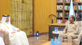 جانب من المقابلة