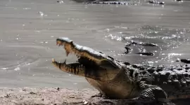 صورة تعبيرية