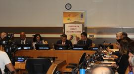 جانب من الحدث الجانبي