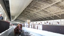 جانب من الفعاليات