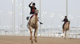 جانب من المنافسات