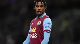 ويلسون أودوبيرت