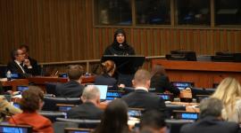 سعادة الدكتورة حنان محمد الكواري وزير الصحة العامة