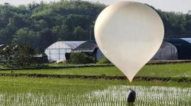بالونات القمامة المرسلة من كوريا الشمالية إلى جارتها الجنوبية