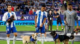 لاعبو إسبانيول