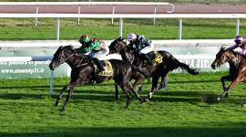 جانب من المنافسات