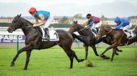 جانب من المنافسات