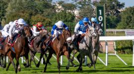 منافسات جائزة قطر قوس النصر