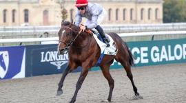 المهر "سيلينيان"