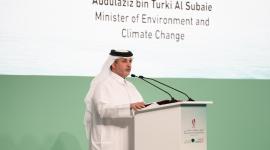 جانب من الفعاليات