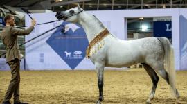 جانب من المنافسات