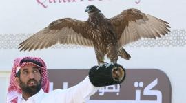 جانب من المنافسات