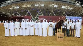 جانب من تتويج الفائزين