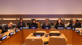 سعادة الشيخة علياء أحمد آل ثاني المندوب الدائم لدولة قطر لدى الأمم المتحدة خلال ألقاء كلمتها