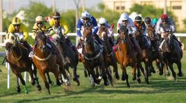 جانب من المنافسات