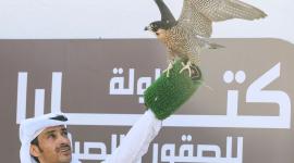 جانب من البطولة