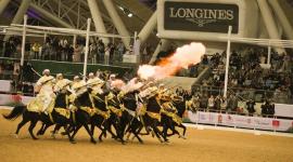 جانب من الفعاليات