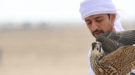 جانب من البطولة