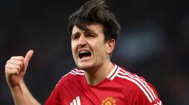 هاري ماجواير