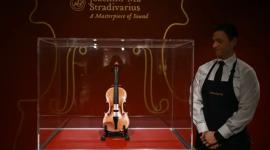 جانب من المزاد