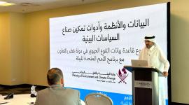 جانب من إحدى ورش العمل