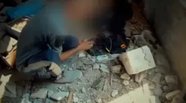 صورة أرشيفية