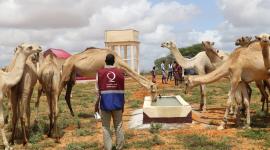 جانب من تدشين حملة إحياء قرية