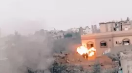 صورة أرشيفية