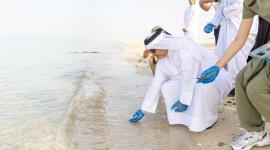 جانب من إطلاق السلاحف