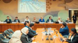 جانب من تنظيم الحدث