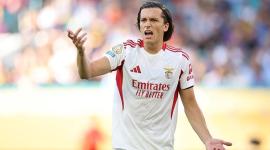 ألفارو كاريراس