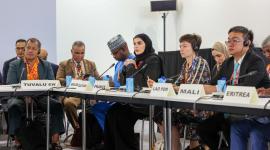 جانب من المشاركة