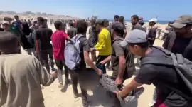 صورة أرشيفية