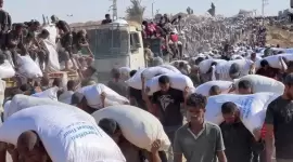 صورة أرشيفية