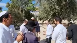 صورة أرشيفية